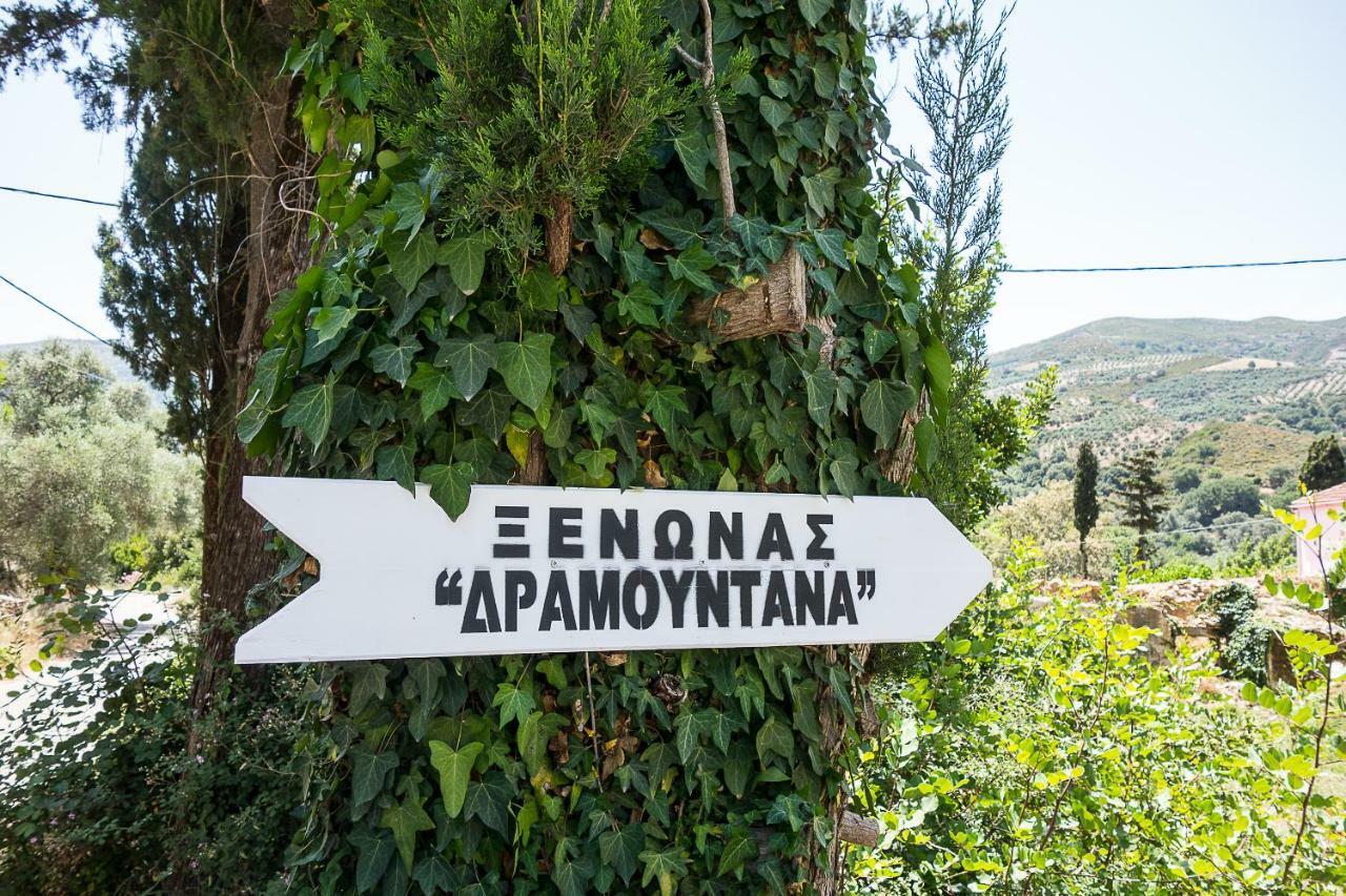 Guesthouse Dramoundana Kántanos Dış mekan fotoğraf