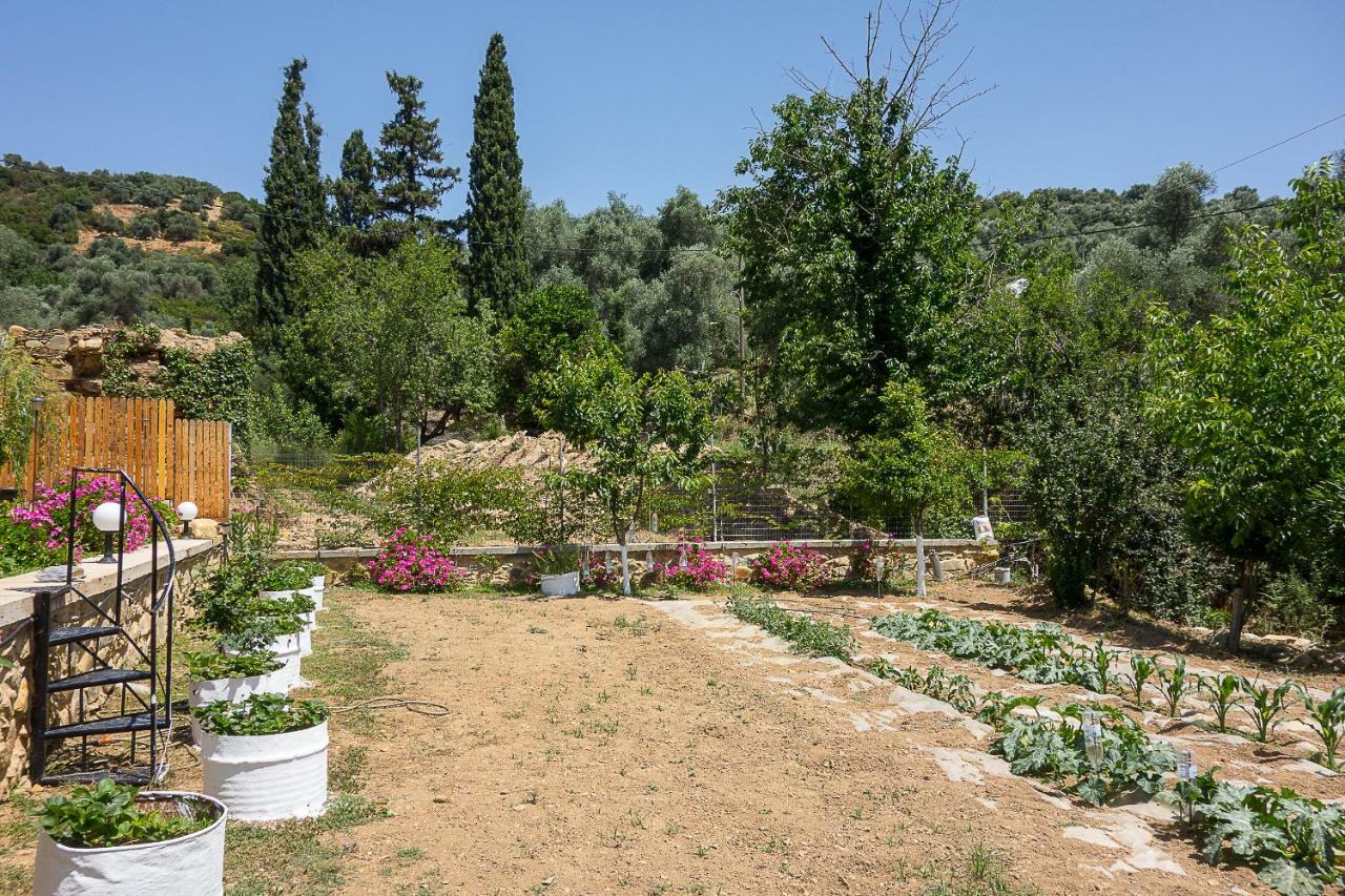 Guesthouse Dramoundana Kántanos Dış mekan fotoğraf