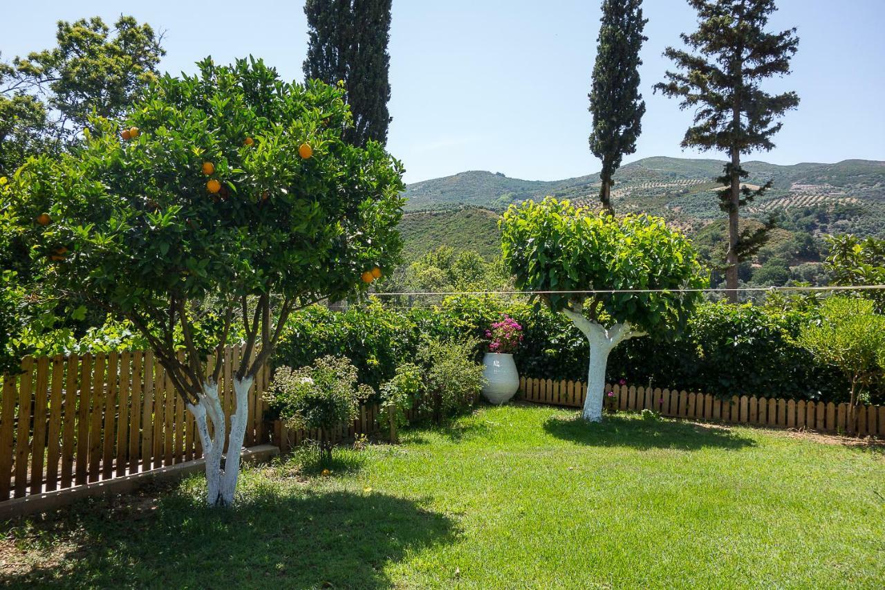 Guesthouse Dramoundana Kántanos Dış mekan fotoğraf