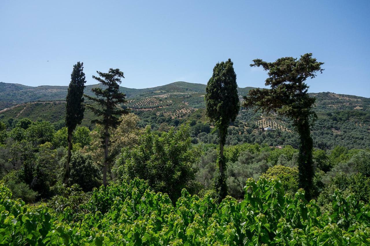 Guesthouse Dramoundana Kántanos Dış mekan fotoğraf